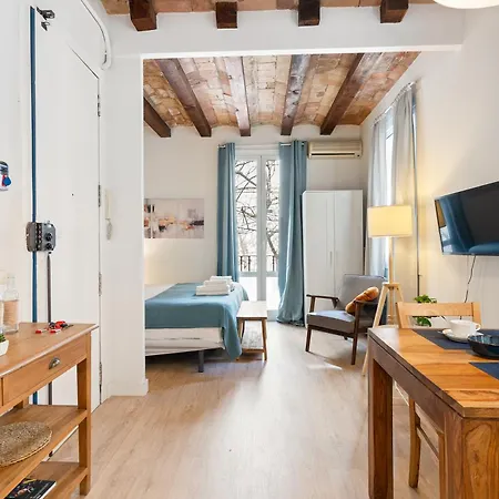 Apartment P1 *